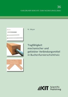 Tragfähigkeit mechanischer und geklebter Verbindungsmittel in Buchenfurnierschichtholz