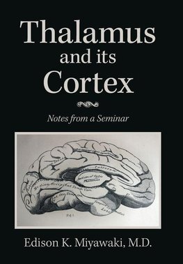 Thalamus  And Its Cortex