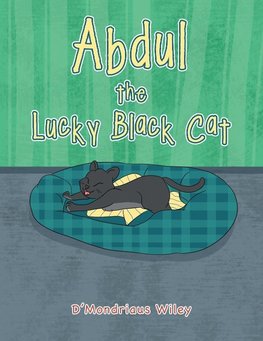 Abdul the Lucky Black Cat