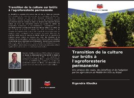 Transition de la culture sur brûlis à l'agroforesterie permanente