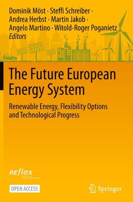 The Future European Energy System