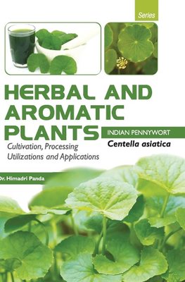 HERBAL AND AROMATIC PLANTS  -  Centella asiatica (INDIAN PENNYWORT)