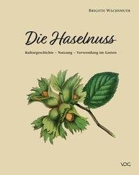 Die Haselnuss