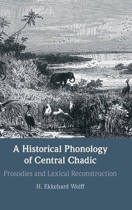 A Historical Phonology of Central Chadic