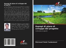 Esempi di piano di sviluppo del progetto