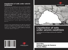 Liquefaction of soils under seismic conditions