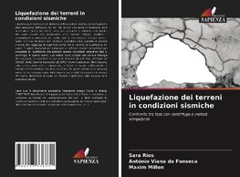 Liquefazione dei terreni in condizioni sismiche