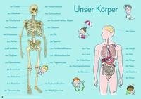 Merk-Poster: 6 A1-Merk-Poster für den Sachunterricht - Jahreskreis, Körper, Waldtiere, Epochen, Kontinente, vom Korn zum Brot