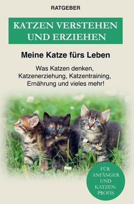 Katzen erziehen und verstehen