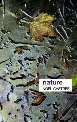 Castree, N: Nature