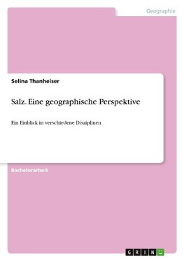 Salz. Eine geographische Perspektive