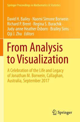 From Analysis to Visualization