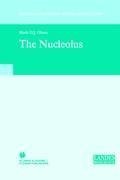 The Nucleolus