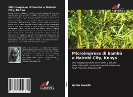 Microimprese di bambù a Nairobi City, Kenya