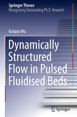 Dynamically Structured Flow in Pulsed Fluidised Beds