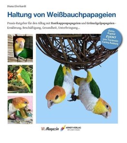 Haltung von Weißbauchpapageien