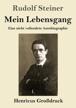 Mein Lebensgang (Großdruck)