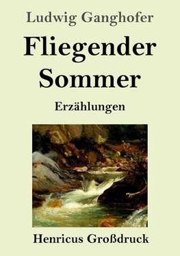 Fliegender Sommer (Großdruck)