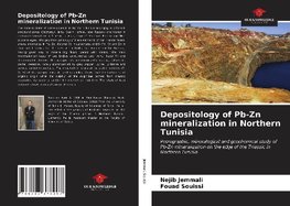 Depositology of Pb-Zn mineralization in Northern Tunisia