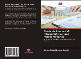 Étude de l'impact du microcrédit sur une microentreprise