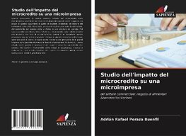 Studio dell'impatto del microcredito su una microimpresa