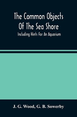 The Common Objects Of The Sea Shore