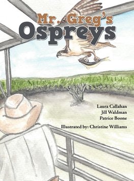 Mr. Greg's Ospreys