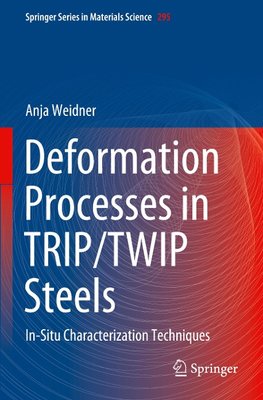 Deformation Processes in TRIP/TWIP Steels