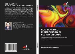 ROD ELASTICO IN UN FLUSSO DI FLUIDO VISCOSO