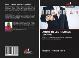 AUDIT DELLE RISORSE UMANE