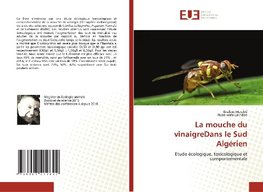 La mouche du vinaigreDans le Sud Algérien