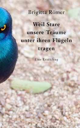 Weil Stare unsere Träume unter ihren Flügeln tragen