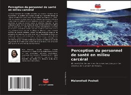 Perception du personnel de santé en milieu carcéral