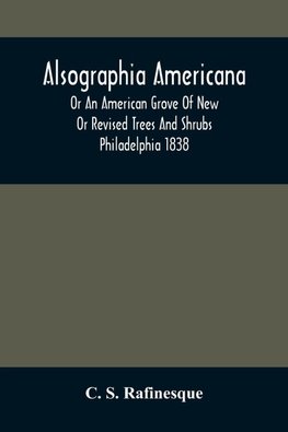 Alsographia Americana