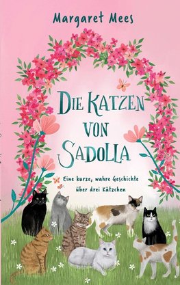 Die Katzen von Sadolla