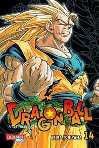 Dragon Ball Massiv 14