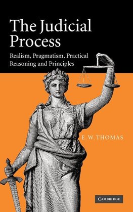 The Judicial Process