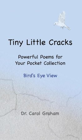 Tiny Little Cracks