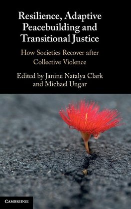 Resilience, Adaptive Peacebuilding and Transitional Justice