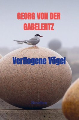 Verflogene Vögel