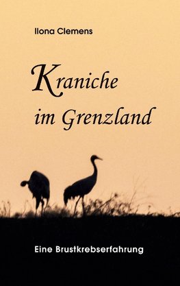 Kraniche im Grenzland