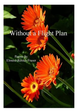 Without a Flight Plan