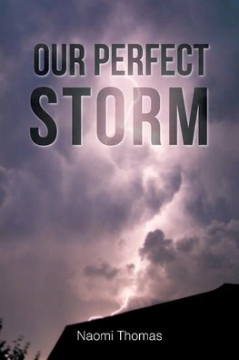 Our Perfect Storm