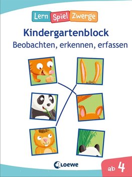 Die neuen LernSpielZwerge - Beobachten, erkennen, erfassen