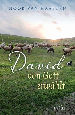 David - von Gott erwählt