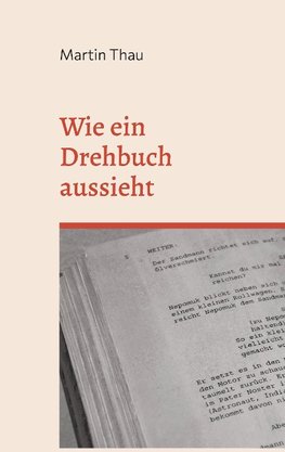 Wie ein Drehbuch aussieht