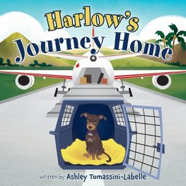 Harlow's Journey Home