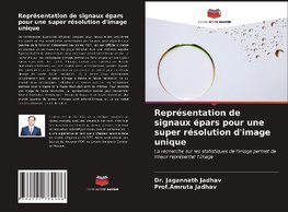 Représentation de signaux épars pour une super résolution d'image unique