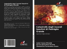 Catastrofe degli incendi boschivi di Pedrógão Grande