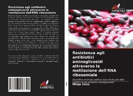 Resistenza agli antibiotici aminoglicosidi attraverso la metilazione dell'RNA ribosomiale